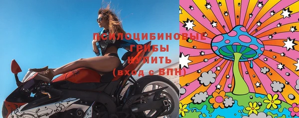 гашик Армянск